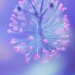 Fibre Optic Hibiscus by bella_ss
