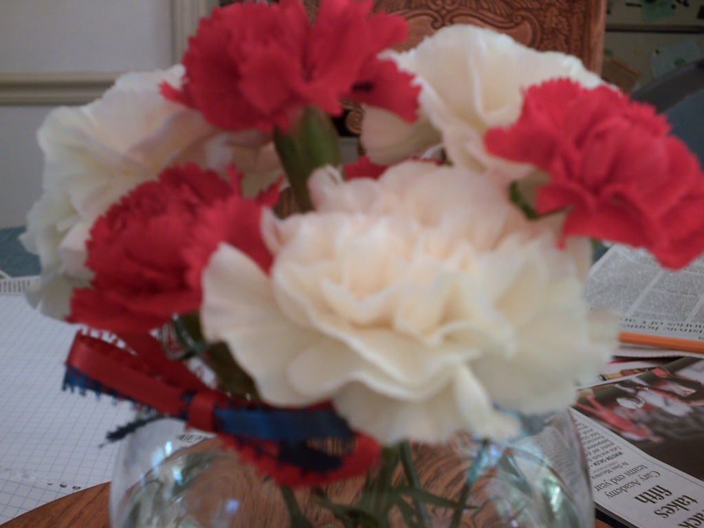 Red and White Carnations 5.25.11 by sfeldphotos