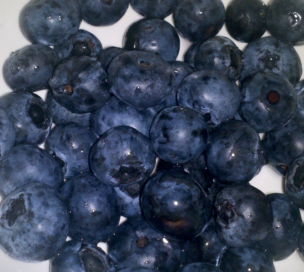 Blueberries for El by ellesfena