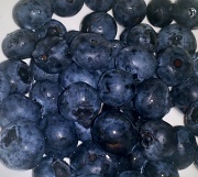 24th May 2011 - Blueberries for El