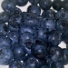 Blueberries for El by ellesfena