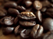 26th May 2011 - Coffee Beans