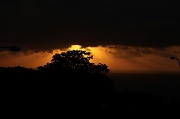 26th May 2011 - golden glow and silhouette