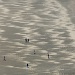 Wave patterns on the sand by dulciknit