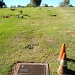 New headstone by corymbia