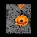 Orange Flower by flygirl