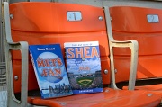 27th May 2011 - Mets Fan and Last Days of Shea in Shea Seat