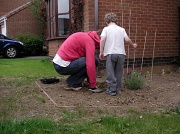 25th May 2011 - Planting