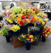 27th May 2011 - Floral Dept