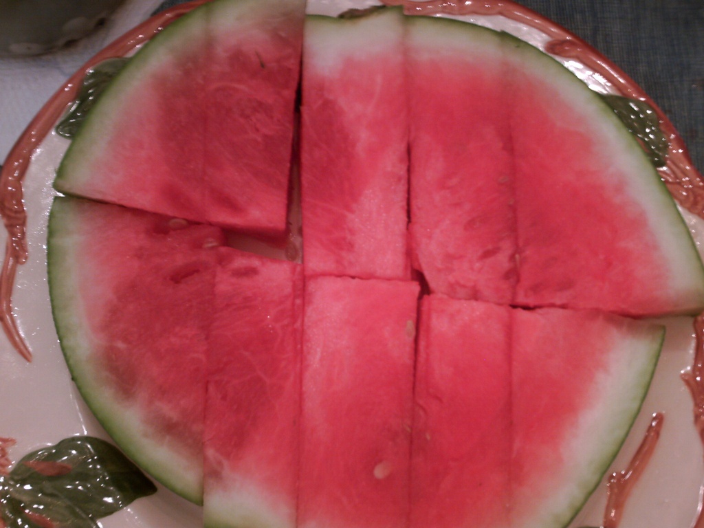 Watermelon Slices 5.28.11 001 by sfeldphotos