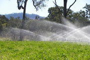 29th May 2011 - Irrigation
