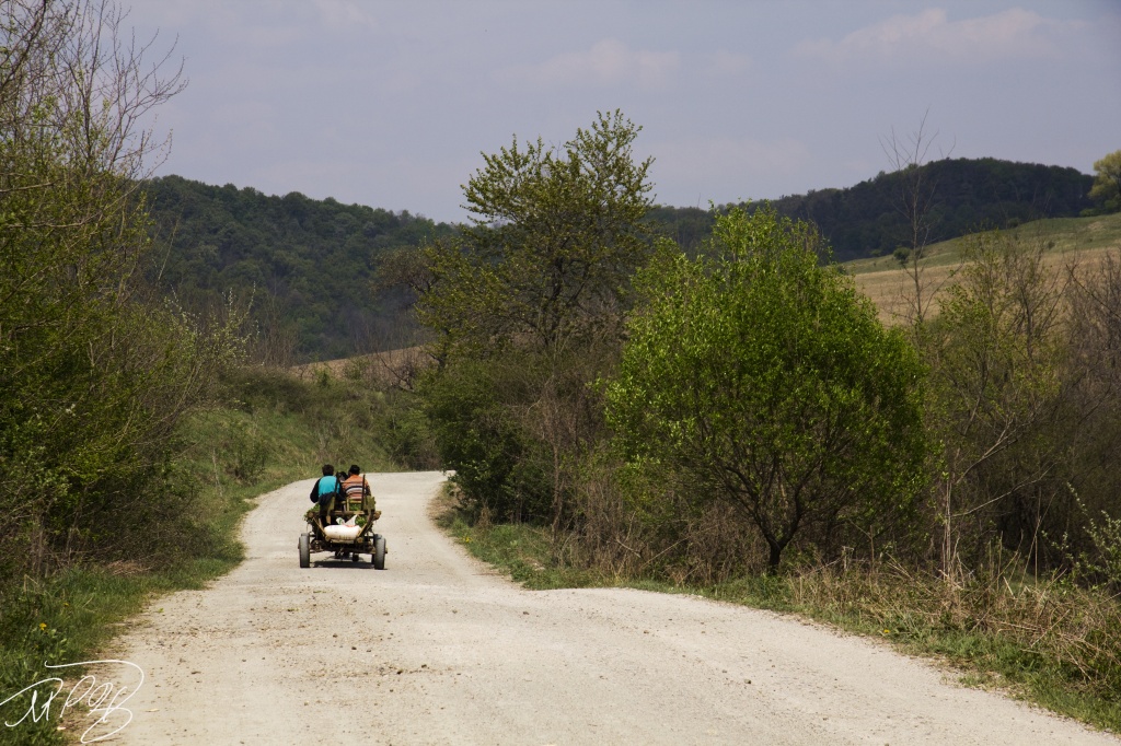 Horse Cart, Transylvania. by harvey