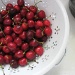 When LIfe Gives You a Bowl of Cherries...Eat Them. by olivetreeann