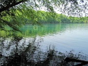31st May 2011 - Green lakes.