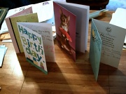31st May 2011 - Shayna's 14th Birthday Cards 5.31.11