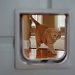 Cat Door by kdrinkie
