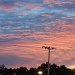 Baseball Field Lights at Sunset by svestdonley