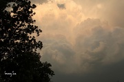 1st Jun 2011 - Pink and Blue Storm Clouds