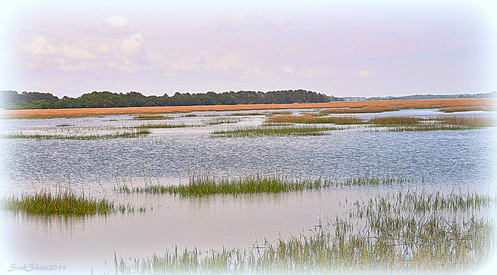 Marsh at High Tide by peggysirk