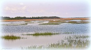 26th May 2011 - Marsh at High Tide