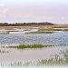 Marsh at High Tide by peggysirk