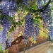 through the curtain of wisteria by reba
