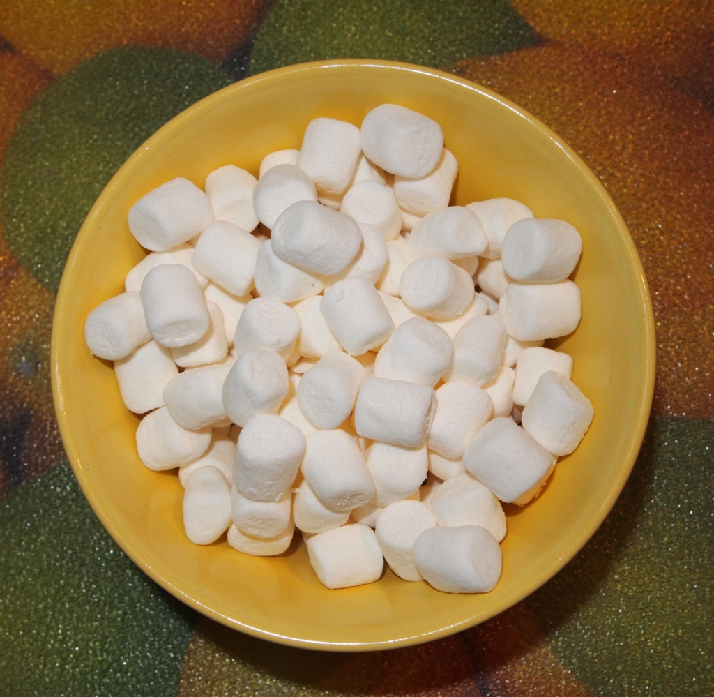 Mini marshmellows by karendalling