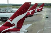 3rd Jun 2011 - rain on the flying kangaroo(s)