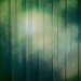 Vertical blinds by manek43509