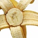 Banana Blossom by lisabell