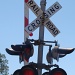 8 Railroad Crossing Signal Lights by dmrams