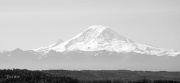4th Jun 2011 - Majestic Mt. Rainier