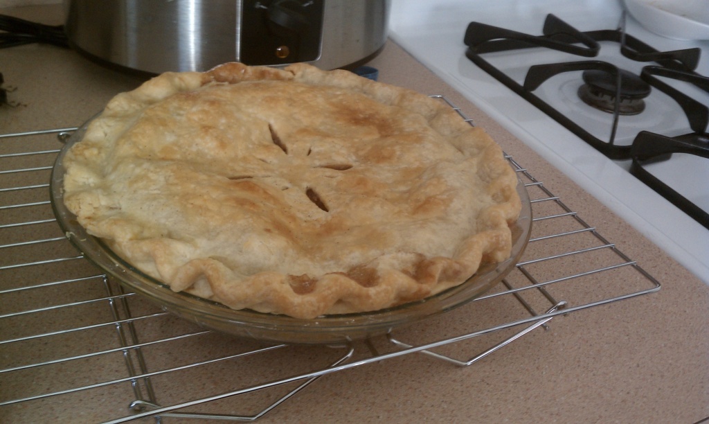 apple pie!! by pleiotropy