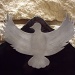 Silver dove by ldedear