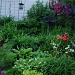 My garden by dora