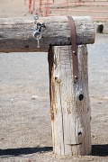 8th Apr 2010 - hitching post....