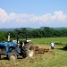 Raking hay by cjwhite