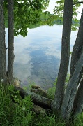7th Jun 2011 - Spring in Maine