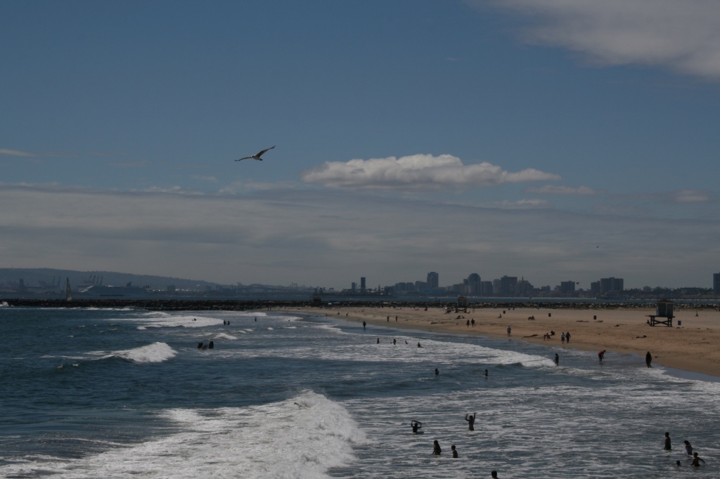 The Long Beach Sky Line From The Seal Beach Pier by kerristephens