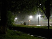 8th Jun 2011 - Foggy night