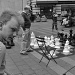 Checkmate! by seattle
