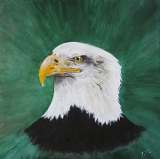 8th Jun 2011 - Bald Eagle - Painted by John Lumley