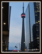 8th Jun 2011 - the CN tower at dusk