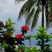 The tropics just before the storm by vernabeth
