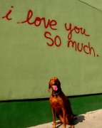 9th Jun 2011 - I Love You So Much