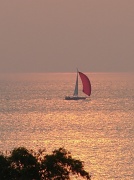 9th Jun 2011 - Sail Into The Sun