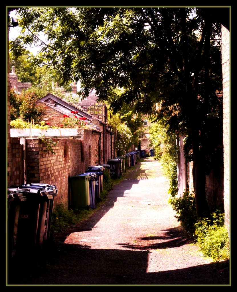 Back Alley by judithg