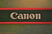 11th Jun 2011 - Canon