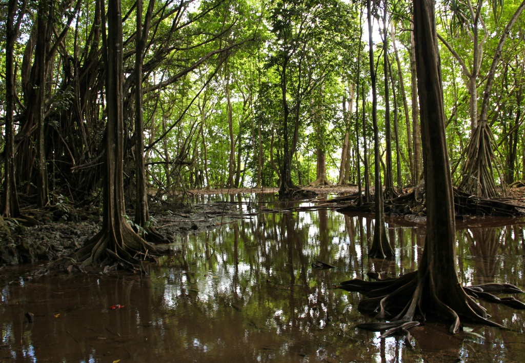 Hiking in a flooded forest - Hugh's Dale by lbmcshutter
