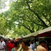 Salcedo Weekend Market by iamdencio